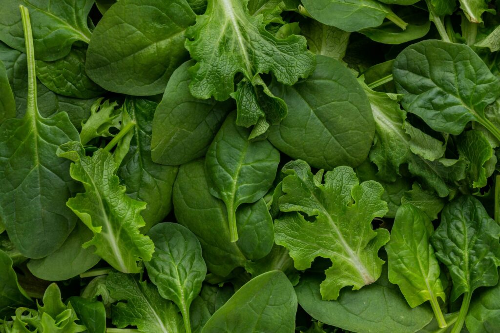 leafy greens provide nutrients for healthy aging