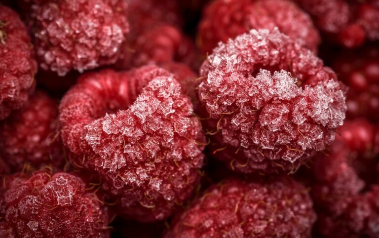 Frozen raspberries dusted with ice crystals, an example of how canned and frozen fruits and vegetables lock in nutrients right after harvest