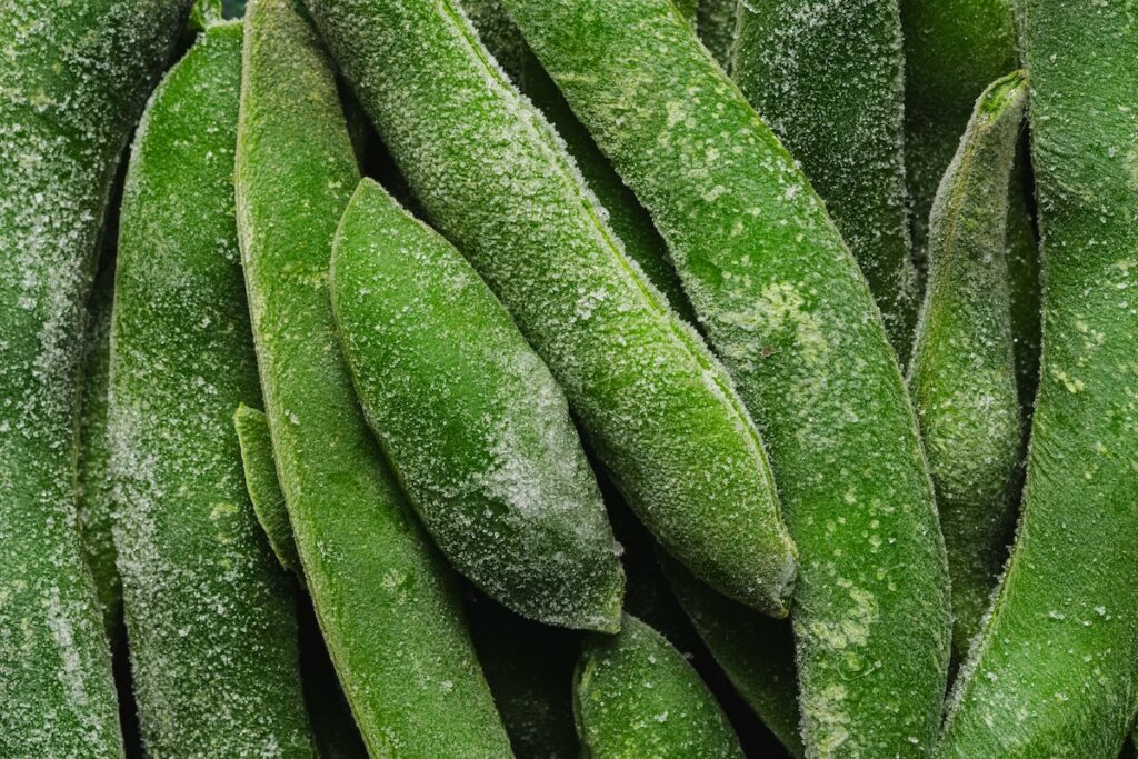 close-up of frozen green beans with ice crystals, showing how canned and frozen fruits and vegetables retain their texture and nutrients