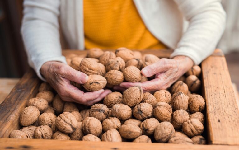 Hands sorting whole walnuts in a wooden crate, tied to research on walnuts and brain function