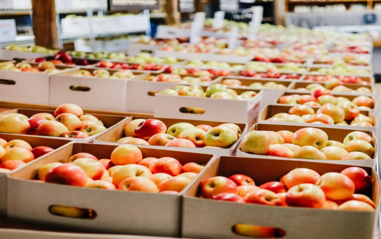 Rows of boxes filled with red, yellow, and green apples at a market, showing the healthiest types of apples to choose from