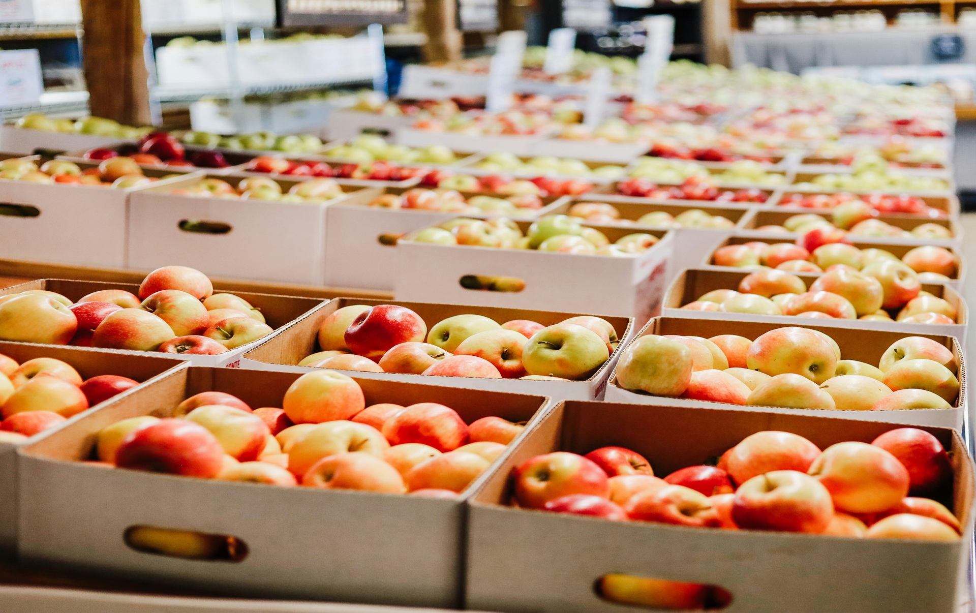 Rows of boxes filled with red, yellow, and green apples at a market, showing the healthiest types of apples to choose from